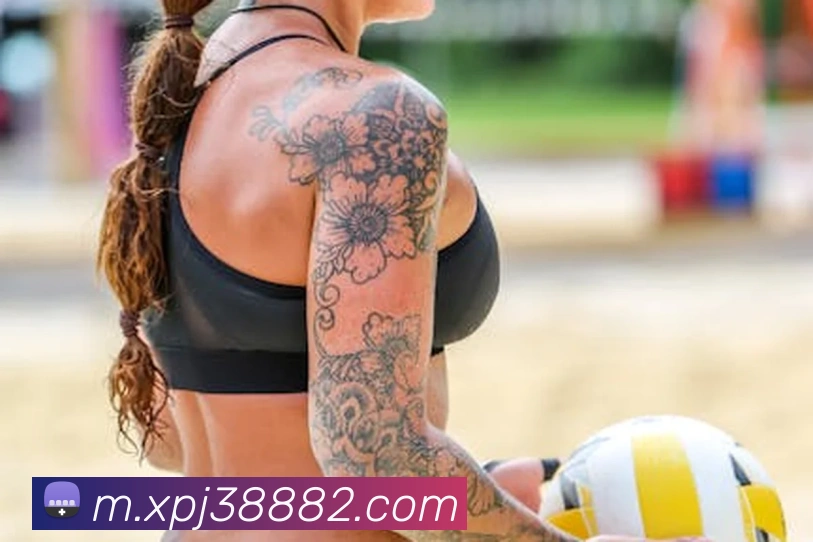 xpj全站App